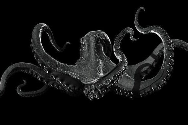 Kraken ссылка зеркало рабочее